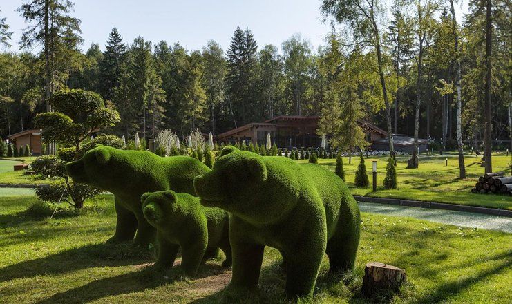 *Парк-отель LES Art Resort